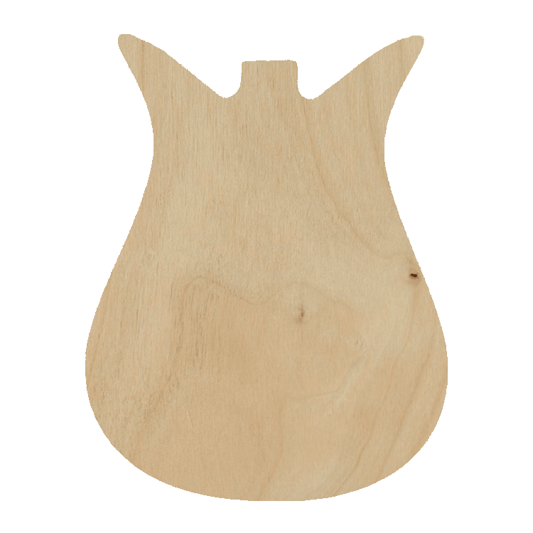 Nashville Style Custom Guitar Body